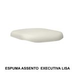 15308414375-copia-de-espuma-assento-executiva-lisa.jpg