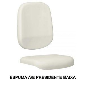 Conjunto de Espuma ASSENTO / ENCOSTO Presidente Baixa LISA - 99210